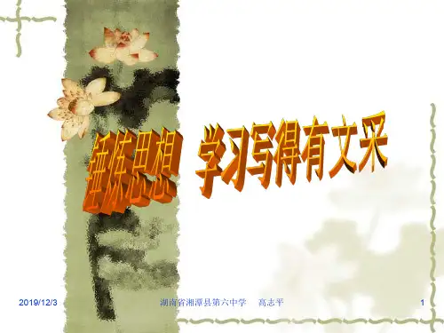 作文训练《锤炼思想学习写得有文采》概述PPT课件