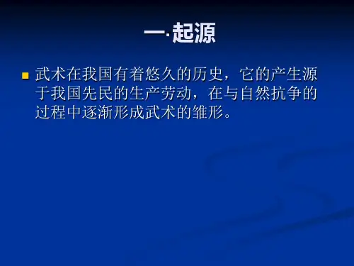 中国武术简介