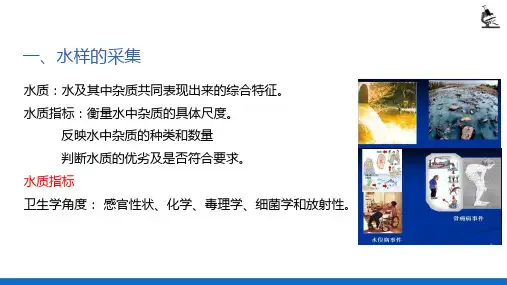水样的采集与保存—水样的采集与保存(理化检验技术)