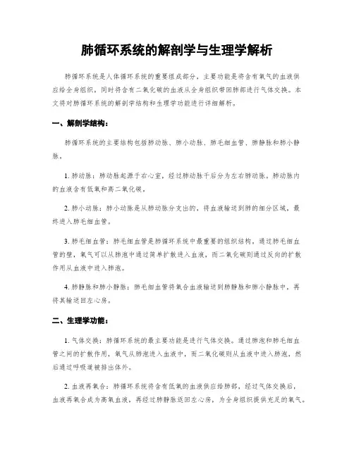 肺循环系统的解剖学与生理学解析