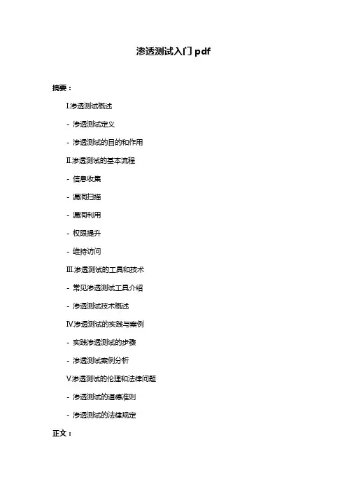 渗透测试入门pdf