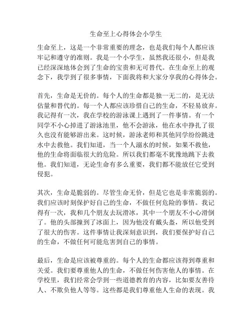 生命至上心得体会小学生