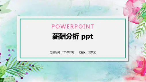 薪酬分析 ppt