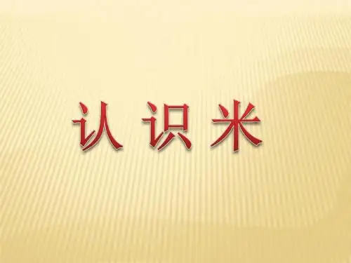 第五单元   认识米教学课件