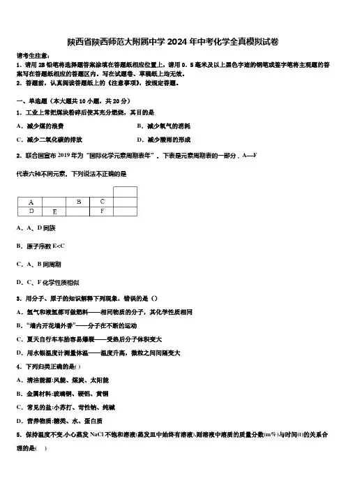 陕西省陕西师范大附属中学2024年中考化学全真模拟试卷含解析