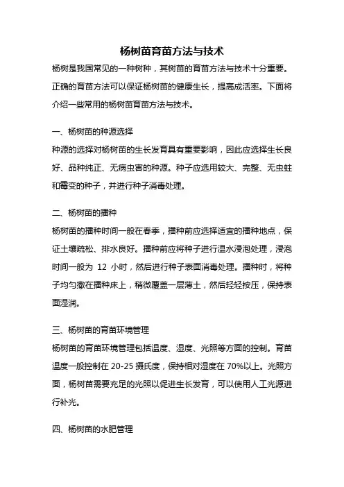 杨树苗育苗方法与技术