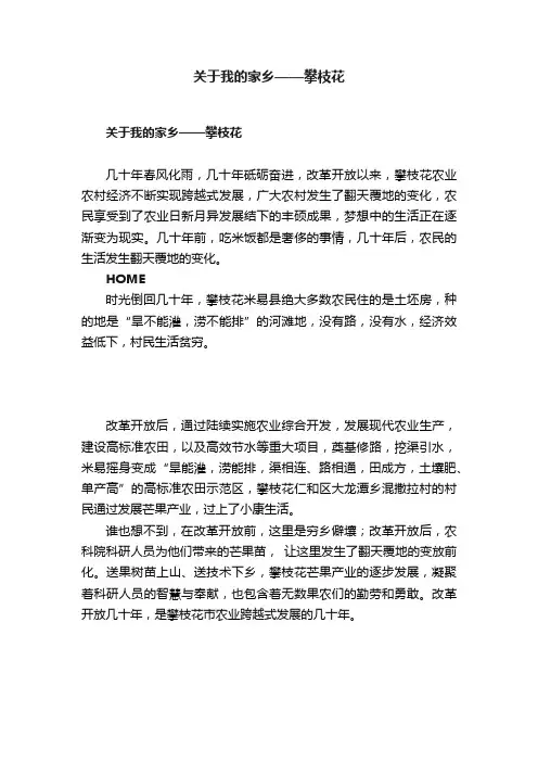 关于我的家乡——攀枝花