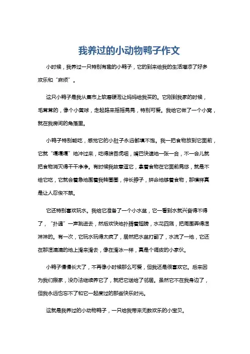 我养过的小动物鸭子作文