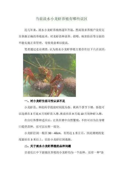当前淡水小龙虾养殖有哪些误区