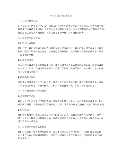 水厂安全生产自查报告