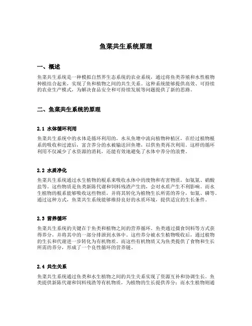 鱼菜共生系统原理