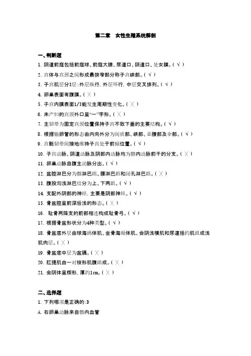 妇科考试试题_2 女性生殖系统解剖