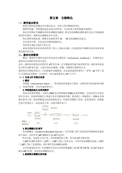 生物氧化——精选推荐