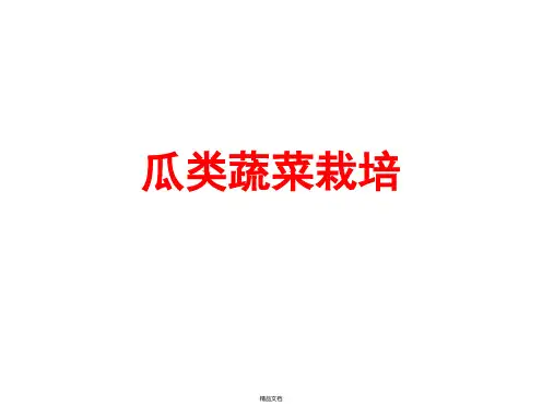 瓜类蔬菜概论