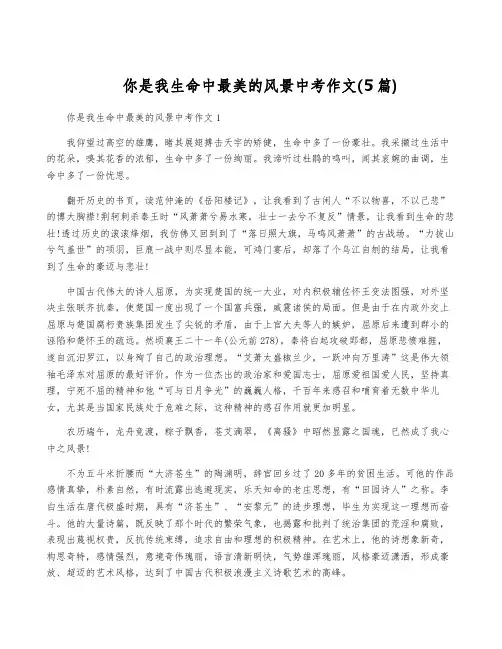 你是我生命中最美的风景中考作文(5篇)