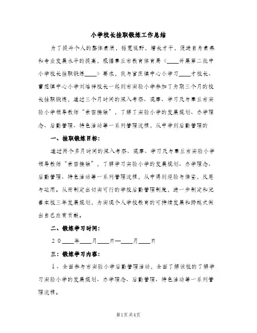 小学校长挂职锻炼工作总结（2篇）