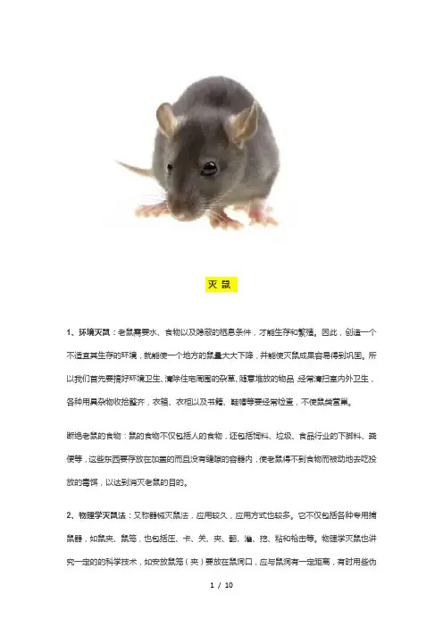灭蚊蝇-灭蟑螂、灭鼠方法大全