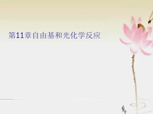 物理有机化学 第11章 自由基和光化学反应