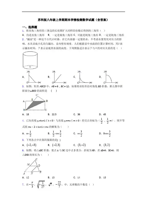 苏科版八年级上学期期末学情检测数学试题(含答案)