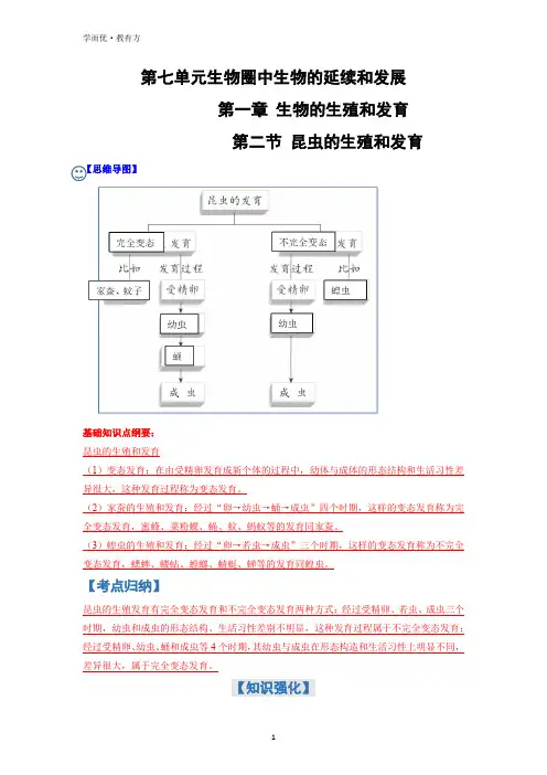 知识梳理--《昆虫的生殖和发育》(解析版)