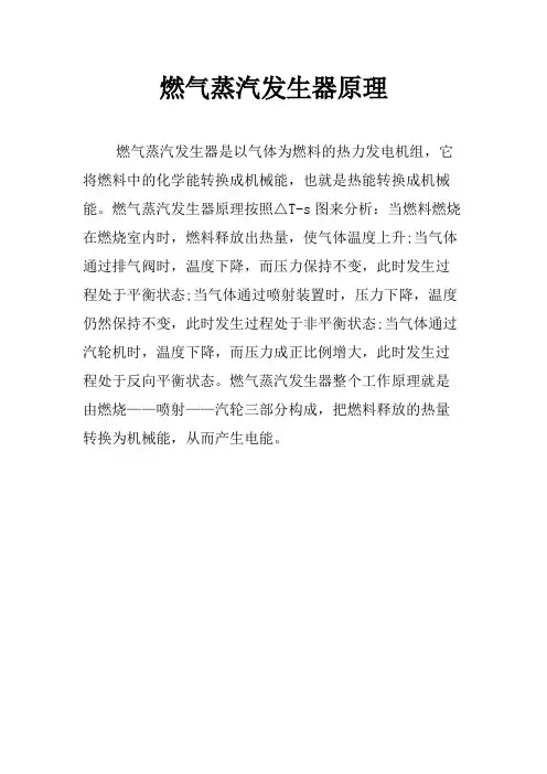 燃气蒸汽发生器原理