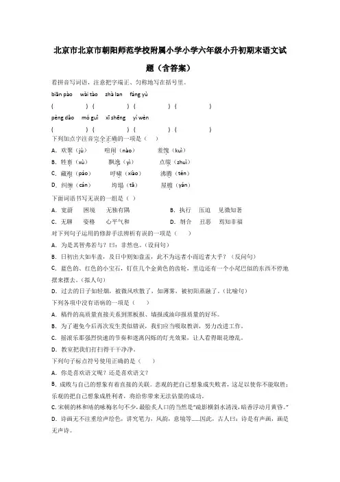 北京市北京市朝阳师范学校附属小学小学六年级小升初期末语文试题(含答案)