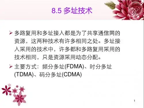 08多址技术2