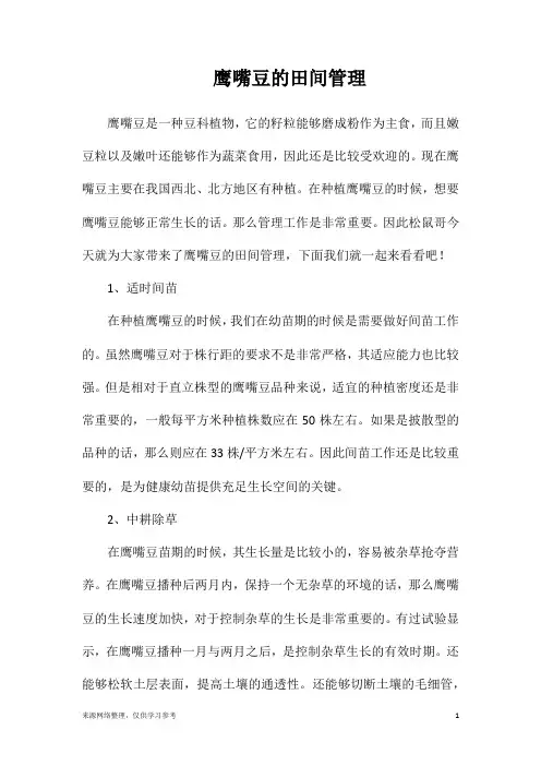 鹰嘴豆的田间管理