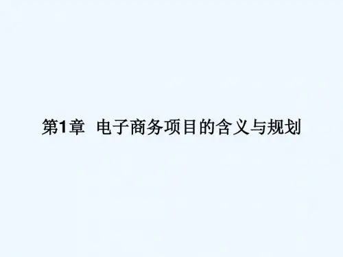 《电子商务项目管理》第1章：电子商务项目的含义与规划 ppt课件