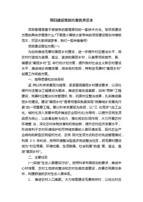项目建设策划方案优秀范本