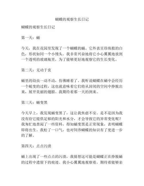 蝴蝶的观察生长日记