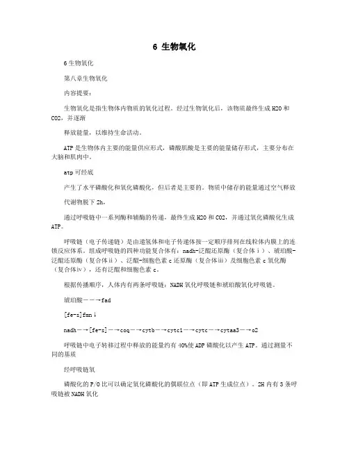 6 生物氧化