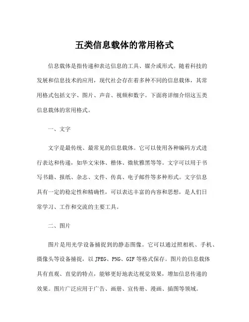 五类信息载体的常用格式