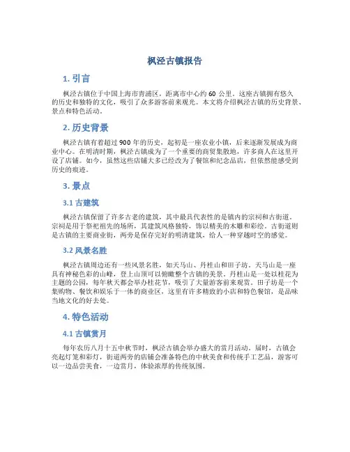 枫泾古镇报告