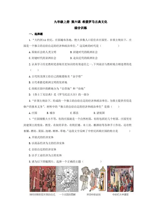 西欧庄园综合训练部编版九年级历史上册