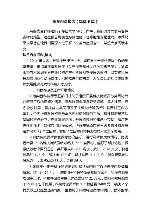 扶贫自查报告（集锦9篇）