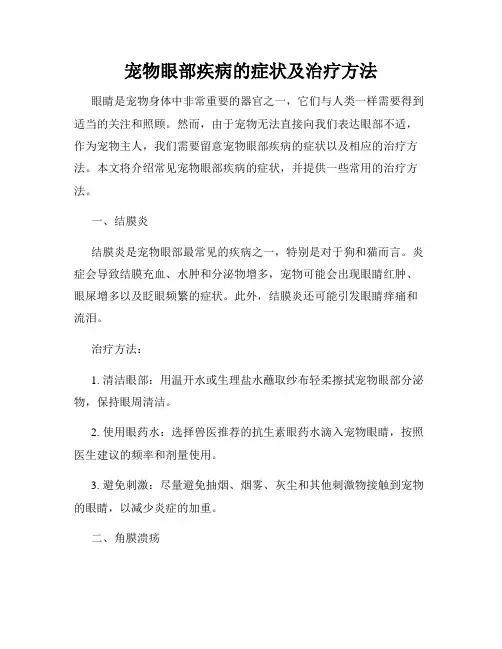 宠物眼部疾病的症状及治疗方法