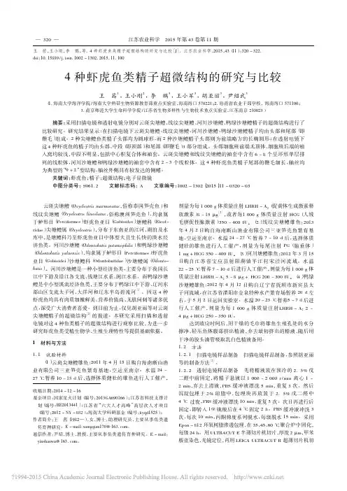 4种虾虎鱼类精子超微结构的研究与比较