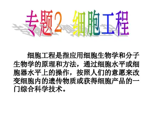人教版高中生物选修三课件：2.1 植物细胞工程 (共29张PPT)