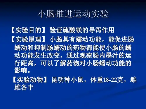 小肠推进运动实验