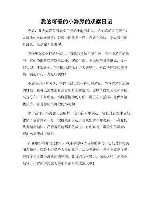 小学三年级作文我的可爱的小海豚的观察日记