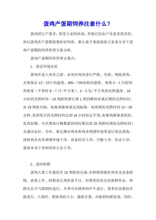 蛋鸡产蛋期饲养注意什么？