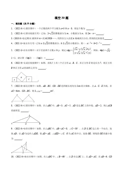 2022-2023学年八年级数学上学期复习考前必做填空30题