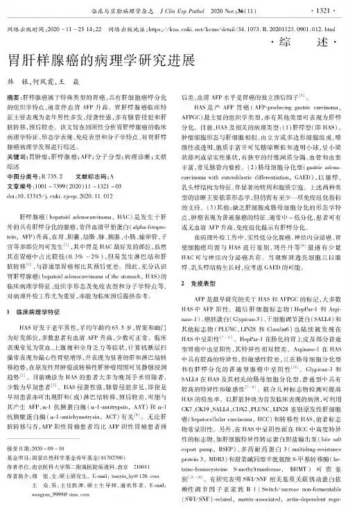 胃肝样腺癌的病理学研究进展