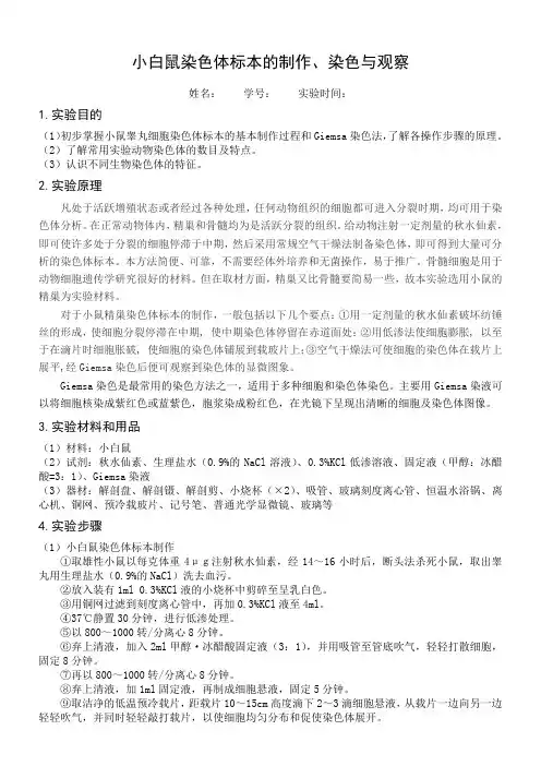 小白鼠染色体标本的制作、染色与观察