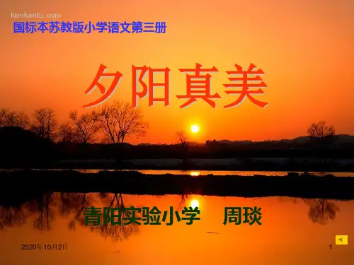 夕阳真美PPT课件