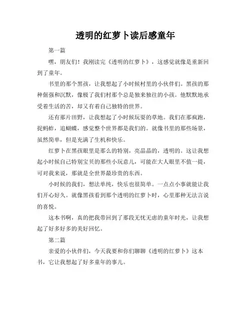 透明的红萝卜读后感童年