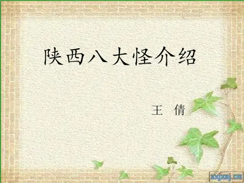 陕西八大怪