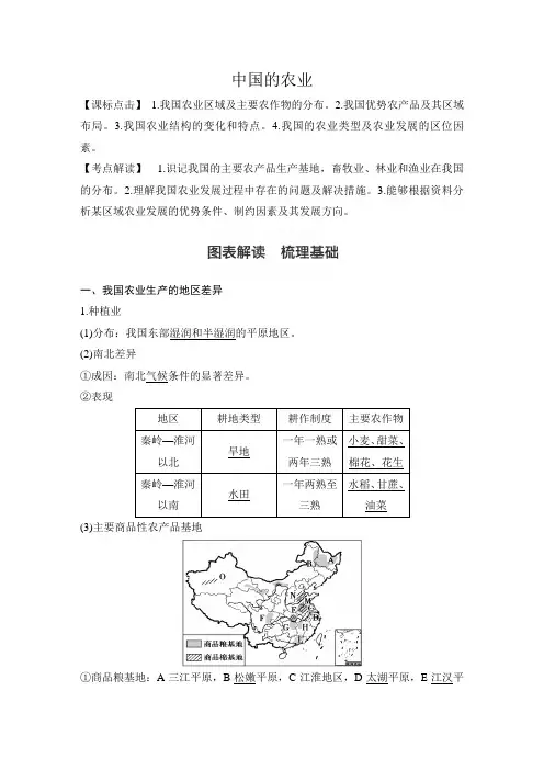 高中地理中国的农业学案