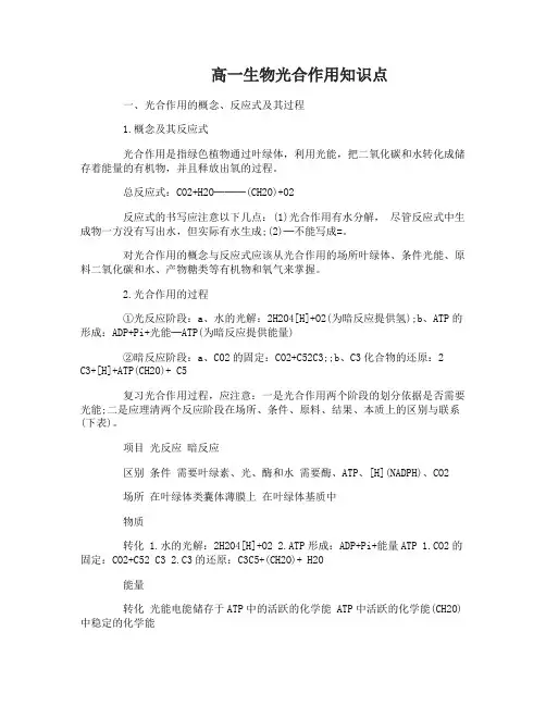 高一生物光合作用知识点详解